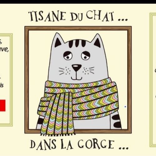 La Tisane du Chat...Dans la gorge